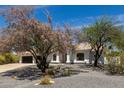 Beautiful home exterior with manicured gravel landscaping and mature trees offering shade and privacy at 8156 E Questa Rd, Scottsdale, AZ 85255