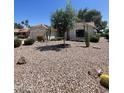 Desert landscaping with native trees and cactus at 9807 W Mcrae Way, Peoria, AZ 85382