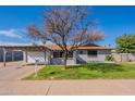 Single-story home with covered parking, desert landscaping, and appealing curb appeal at 3408 W Carol Ave, Phoenix, AZ 85051