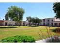 Beautiful community grounds with lush green lawn, mature trees, and well-maintained building exteriors at 5942 N 83Rd St, Scottsdale, AZ 85250