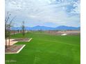 Expansive community lawn area with landscaping and mountain views at 10610 W Bloch Rd, Tolleson, AZ 85353