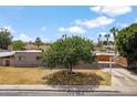 Front exterior of home with a mature shade tree and a well-maintained lawn at 1308 S Spur --, Mesa, AZ 85204
