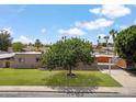 Well-maintained front yard with a mature shade tree, offering curb appeal at 1308 S Spur --, Mesa, AZ 85204