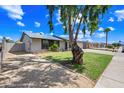 Single-story home with an expansive front yard and mature shade tree at 1444 W Wickieup Ln, Phoenix, AZ 85027