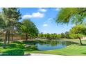 Scenic community lake surrounded by lush green grass, mature trees, and walking paths at 2031 W Periwinkle Way, Chandler, AZ 85248