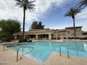 Community pool featuring lounge chairs, palm trees, and a well-maintained pool area at 2031 W Periwinkle Way, Chandler, AZ 85248