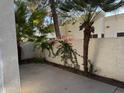 Private patio with tropical landscaping at 2100 W Lemon Tree Pl # 29, Chandler, AZ 85224