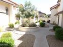 Landscaped courtyard featuring a concrete walkway with a central tree and garden bed at 2927 N Oregon St # 7, Chandler, AZ 85225