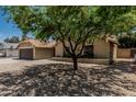 Inviting single-story home with a mature shade tree and low maintenance desert landscaping at 1019 W Mohawk Ln, Phoenix, AZ 85027