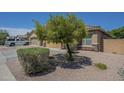 Landscaped front yard featuring desert landscaping and mature shade tree at 11625 N 153Rd Dr, Surprise, AZ 85379