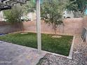 Backyard view featuring artificial turf, pavers, and a privacy wall at 19814 N 49Th Dr, Glendale, AZ 85308