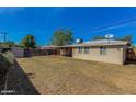 Huge grassy backyard has trees, wood fence, and a covered patio for entertaining and relaxing at 2213 E Campbell Ave, Phoenix, AZ 85016
