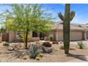 Desert landscaped front yard with cacti, trees, and decorative rock at 27953 N 111Th Way, Scottsdale, AZ 85262