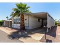 Charming single-story home featuring large windows, a covered carport, a driveway and a beautifully landscaped yard with a mature palm tree at 205 S Higley Rd # 300, Mesa, AZ 85206