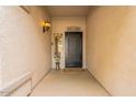 Inviting entryway with decorative light fixture, security door, and 'HELLO' doormat at 21231 E Nightingale Rd, Queen Creek, AZ 85142