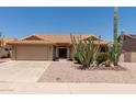 Charming single-story home with desert landscaping, including mature saguaro cacti and gravel groundcover at 9802 W Rockwood Dr, Peoria, AZ 85382