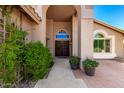 Inviting front entry featuring a rustic front door, lush greenery, and brick accents at 3581 W Ironwood Dr, Chandler, AZ 85226