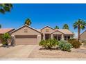 Charming single story home with desert landscaping, lush palms, and a two-car garage at 16280 W Desert Winds Dr, Surprise, AZ 85374