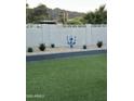 Well-maintained backyard with artificial grass and desert landscaping at 2426 E Turquoise Dr, Phoenix, AZ 85028