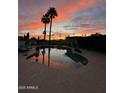 Outdoor pool area with sunset view, tall palm trees, and reflection in the water at 2426 E Turquoise Dr, Phoenix, AZ 85028