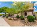 A well-maintained home with desert landscaping, showcasing decorative trees and plants along a sidewalk at 26853 N 89Th Dr, Peoria, AZ 85383