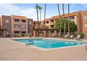 Outdoor pool area featuring lounge chairs, desert landscaping, and shade structures at 540 N May -- # 2110, Mesa, AZ 85201
