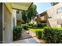 Apartment complex with well-manicured landscaping and mature trees at 4610 N 68Th St # 409, Scottsdale, AZ 85251