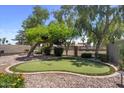 Private backyard featuring a putting green, mature trees, and a charming outdoor space at 1761 E Countrywalk Ln, Chandler, AZ 85225