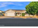 Home with solar panels, a two-car garage, and xeriscaped front yard, perfect for low-maintenance living at 18161 N 63Rd Ln, Glendale, AZ 85308