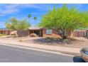 Charming single-story brick home with desert landscaping and mature trees at 2524 E Elmwood St, Mesa, AZ 85213