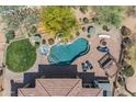 Aerial shot showcasing the pool with a waterfall feature, spa, and plenty of lounge space at 3217 N Piedra Cir, Mesa, AZ 85207