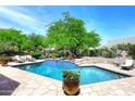 Refreshing backyard pool with a beautiful stone surround and ample lounge seating at 8230 E Via Del Sol Dr, Scottsdale, AZ 85255