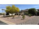 Well maintained front yard with lovely desert landscaping and a large yellow flowering tree at 9621 E Calgary Ave, Sun Lakes, AZ 85248