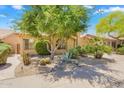 Attractive single-story home with desert landscaping featuring mature trees, cacti, and rock accents at 9127 E Siesta Ln, Scottsdale, AZ 85255