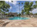 Community pool with ample seating, shaded areas, and tall palm trees creating a tranquil and inviting atmosphere at 4124 N 81St St, Scottsdale, AZ 85251