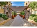 Picturesque walkway with stone pillars, potted plants, and pergola at 5450 E Deer Valley Dr # 4199, Phoenix, AZ 85054