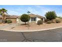 Charming single-story home features a well-kept landscape, including gravel and decorative shrubs at 35656 N Shorthorn Trl, San Tan Valley, AZ 85143