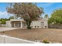 Single story house with white walls, gravel front yard, and large leafy tree at 12821 N 67Th St, Scottsdale, AZ 85254