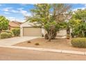 Single-story home with tan stucco exterior and desert landscaping featuring cacti at 1375 W Belmont Red Trl, San Tan Valley, AZ 85143