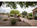 Beautiful backyard with patio area, desert landscaping, and mature trees at 20669 N 266Th Ave, Buckeye, AZ 85396