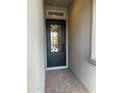 Elegant front door with ornate ironwork and a decorative glass panel, set within a welcoming entrance at 3738 E Rochelle Cir, Mesa, AZ 85213