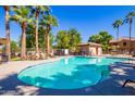 Community swimming pool surrounded by palm trees and lounge chairs on a sunny day at 7516 S 31St Pl, Phoenix, AZ 85042