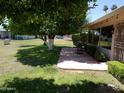 Charming backyard with a patio, shade tree, and manicured lawn, perfect for outdoor enjoyment at 10229 W Bolivar Dr, Sun City, AZ 85351