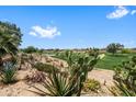Scenic backyard view with desert landscaping, and neighborhood pond in background at 11553 W Cottontail Ct, Surprise, AZ 85378