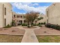 Charming courtyard with mature landscaping and walkways leading to each building, providing a tranquil outdoor space at 3119 W Cochise Dr # 111, Phoenix, AZ 85051