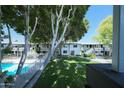 Relaxing community pool, lush lawn, and mature trees create a park-like atmosphere at 749 E Montebello Ave # 231, Phoenix, AZ 85014