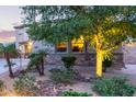 Well-maintained front yard with mature trees, decorative rock features, and tasteful landscaping at 9231 W Bent Tree Dr, Peoria, AZ 85383