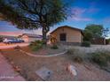 Landscaped front yard with desert plants, a large shade tree, and a stone-accented exterior at 15245 W Crocus Dr, Surprise, AZ 85379
