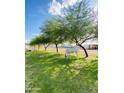 Picturesque backyard view with lush green grass, mature trees, and a grazing white horse at 15602 N 37Th St, Phoenix, AZ 85032