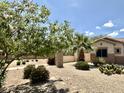 Well maintained desert landscaped front yard with mature trees at 19537 E Thornton Rd, Queen Creek, AZ 85142